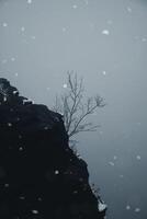 Rocky outcrop of the Grosser Zschirnstein, in snowfall with a single tree in the fog photo