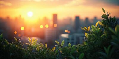 Sunset view over a city skyline with greenery in the foreground highlighting urban nature connection photo