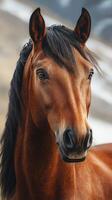 Majestic brown horse with flowing mane stands in a natural landscape during golden hour photo