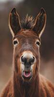 Brown donkey with a joyful expression standing in a natural setting during the day photo