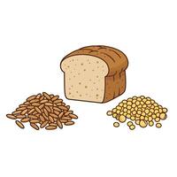 A loaf of bread and a bowl of beans vector