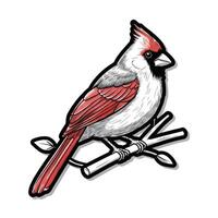 A red cardinal bird sitting on a branch vector
