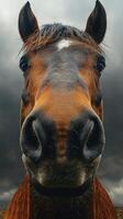 Close-up of a horse looking directly at the camera against a dramatic cloudy sky photo