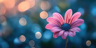 Vibrant pink flower stands out against a softly blurred bokeh background in a garden during twilight photo