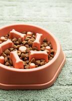 Slow feeder dog bowl preventing gulping and improving digestion on the green carpet photo