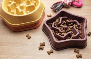 Slow feeding bowl preventing gulping and improving digestion in dogs photo