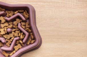 Star shape Slow feeder dog bowl preventing gulping and improving digestion photo