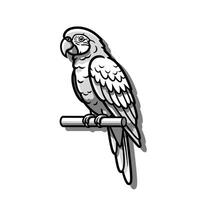 A black and white drawing of a parrot sitting on a branch vector