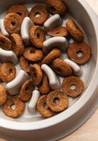 Dry dog food in slow feeder bowl preventing gulping improving digestion photo