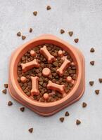 Slow feeder dog bowl preventing gulping and improving digestion on concrete background photo