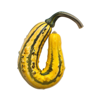 A squash with a green stem and yellow skin png