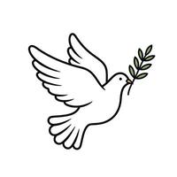 A white dove with an olive branch in its beak vector