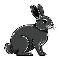 A black rabbit sitting on a white background vector
