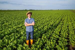 Smiling happy agronomist in spinach field photo