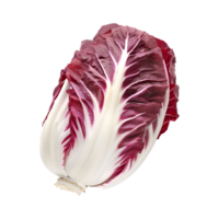 Red cabbage on transparent background png