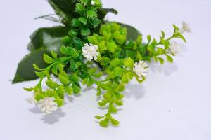close-up image of a bouquet with lily of the valley and snowdrops surrounded by white flowers, leaves, and stems, captured in spring with a clean white background photo
