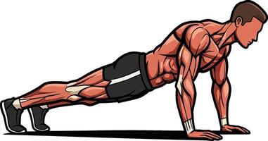 A cartoon man doing push ups on a white background vector