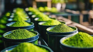 Rows of Metal Containers Filled with Green Powder photo