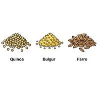 The different types of grains and seeds vector