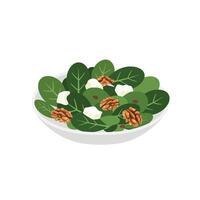 A bowl of spinach salad with walnuts and cheese vector