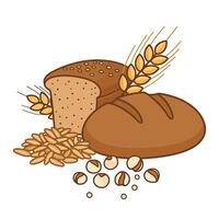 illustration of bread and wheat on white background vector