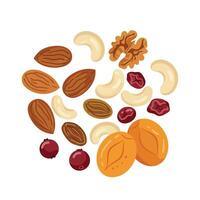 Nuts and dried fruits, including walnuts, almonds, and cranberries vector
