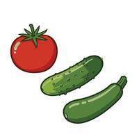 Tomato, cucumber and cucumber illustration vector