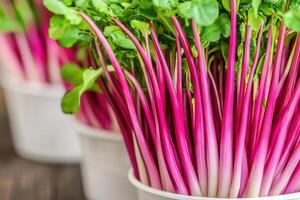 Fresh microgreens with vibrant pink stems and green leaves photo