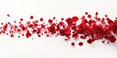 Bright red roses and petals arranged artistically on a white background for romantic occasions photo