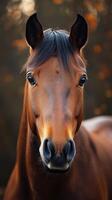 Majestic brown horse with deep eyes standing still in a serene forest setting during golden hour photo