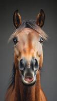 Close-up of a cheerful horse with an expressive face against a neutral background in a studio setting photo