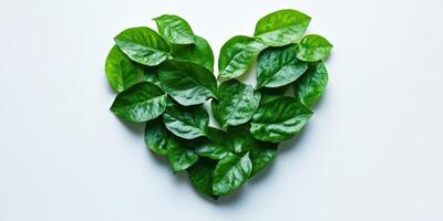 Heart shape created with fresh green leaves on a light background representing love for nature photo