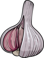 Hand drawn illustration garlic . head of garlic png
