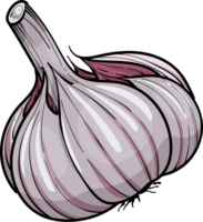 Hand drawn illustration garlic . png