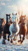 Majestic horses galloping through a snowy landscape under a golden sky at dusk photo