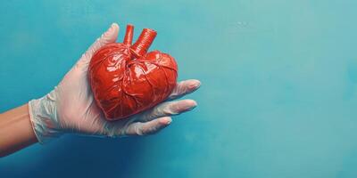 Heart model held in gloved hand against blue background depicting medical education and anatomical study photo