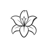 A black and white illustration of a lily vector