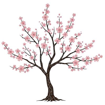 A tree with pink flowers on a white background