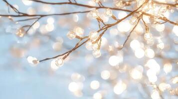 String lights hanging on bare winter branches, creating soft bokeh illumination against pale blue background photo