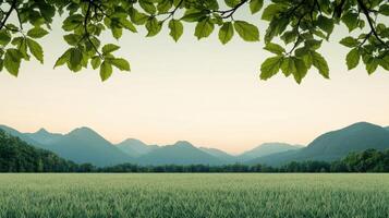 Serene landscape with lush greenery and mountains natural environment tranquil viewpoint nature photography photo