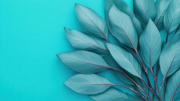 Delicate green leaves nature scene close-up photography blue background natural environment freshness concept photo
