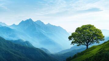 Breathtaking mountain landscape with a solitary tree nature scene serene environment wide-angle view tranquility photo