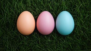 Colorful easter egg display garden photography natural setting close-up festive celebration photo