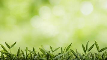 Nature background with lush green leaves outdoor scene photography tranquil environment close-up view organic concept photo