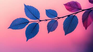 Delicate purple leaves in nature vibrant sunset glow botanical photography serene environment aesthetic viewpoint photo