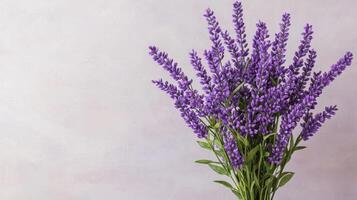Vibrant purple flower bouquet close-up nature setting floral photography soft background artistic concept photo