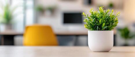 Lively greenery in a blurry office space modern workspace plant decor indoor environment close-up view serene concept photo