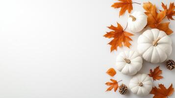 White pumpkins and dry maple leaves creating an autumn flat lay thanksgiving on white background with copy space photo