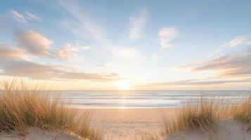 Golden sunrise filtering through swaying beach grass summer, illuminating tranquil sandy shoreline and calm ocean waters background Copy space for text photo