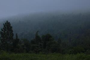 foggy weather during winter in the hills of sumedang, west java, indonesia. photo
